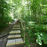 Bosgeluk