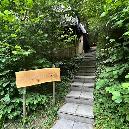Bosgeluk シャレー *