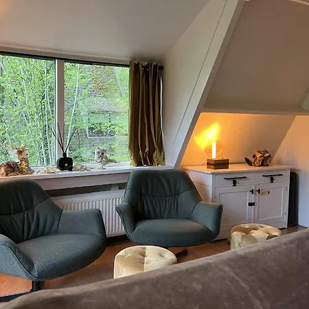 Chalet Bosgeluk