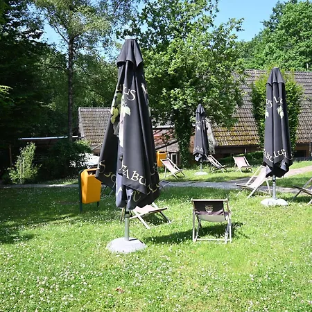 Chalet Bosgeluk