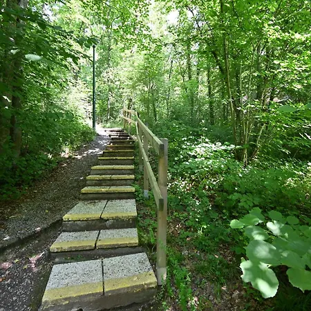 Bosgeluk
